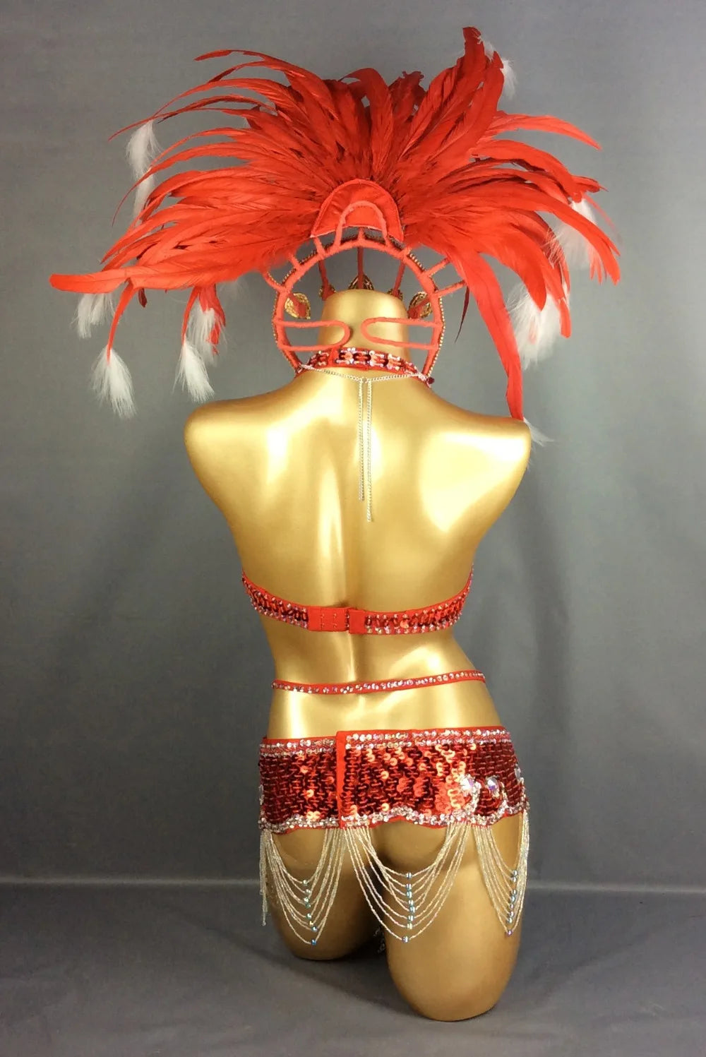 Carnival Samba Dance Costume, Women's Red & White Feathered Sequin Rhinestone Bra & Skirt Set, Latin Belly Dance