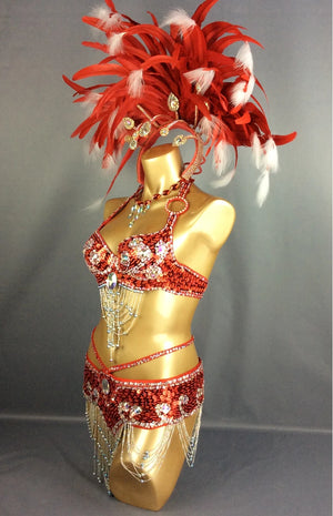 Carnival Samba Dance Costume, Women's Red & White Feathered Sequin Rhinestone Bra & Skirt Set, Latin Belly Dance