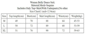 Women's Purple Shimmer Mesh Crop Top & Ruched Slit Skirt Set, Belly Dance Costume