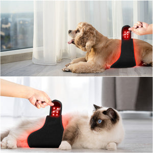 Portable Pet Therapy Device For Cat Dog Abdomen Hip Back Leg Wound Healing Bone Fracture Recovery Automatic Timer