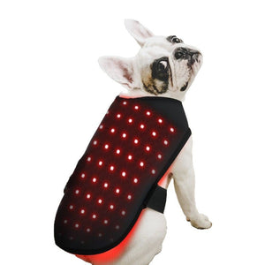 Small Pet Red Light Infrared Therapy Device For Cat Dog Back Abdomen Injury Recovery Bone Healing Anti Lick Portable Timer