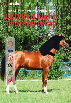 Led Red Light Infrared Therapy Horse Neck Relaxation Recovery