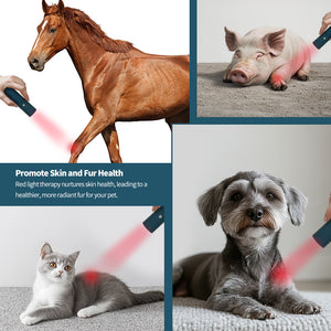 Led Red Light Infrared Therapy Device For Pet Bone Fracture Wound Healing Portable Timer 200mw Cm2