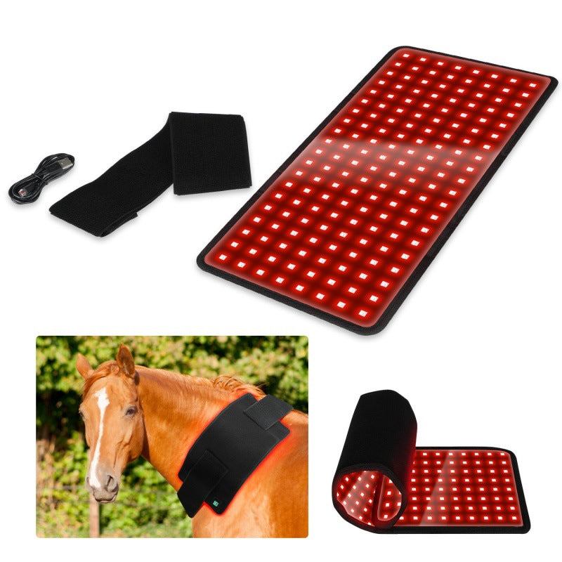 Pet Red Light Infrared Therapy Device For Back Belly Thigh Leg Injury Recovery Bone Healing Portable Timer