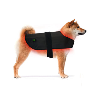 Medium Pet Red Light Infrared Therapy Device For Cat Dog Back Abdomen Injury Fracture Healing Portable Timer