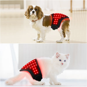 Portable Pet Therapy Device For Cat Dog Abdomen Hip Back Leg Wound Healing Bone Fracture Recovery Automatic Timer