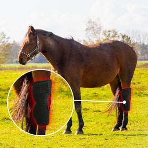 Red Light Infrared Pet Sports Injury Recovery Horse Knee Portable Phototherapy Device Kit