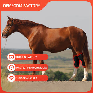 Red Light Infrared Pet Sports Injury Recovery Horse Knee Portable Phototherapy Device Kit