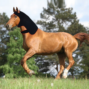 Led Red Light Infrared Therapy Horse Neck Relaxation Recovery