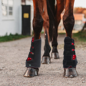 Red Light Infrared Pet Therapy Wound Recovery Portable Led Light Therapy For Horses Legs