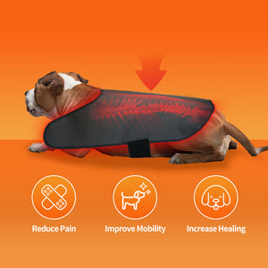 Medium Pet Red Light Infrared Therapy Device For Cat Dog Back Abdomen Injury Fracture Healing Portable Timer