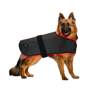 Medium Pet Red Light Infrared Therapy Device For Cat Dog Back Abdomen Injury Fracture Healing Portable Timer