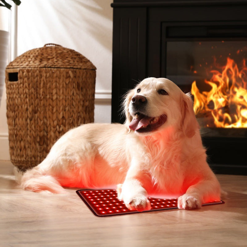 2024 New Pet Therapy Device For Cats Dogs Pigs Back Abdomen Injury Fracture Healing Muscle Relaxation Portable Timer