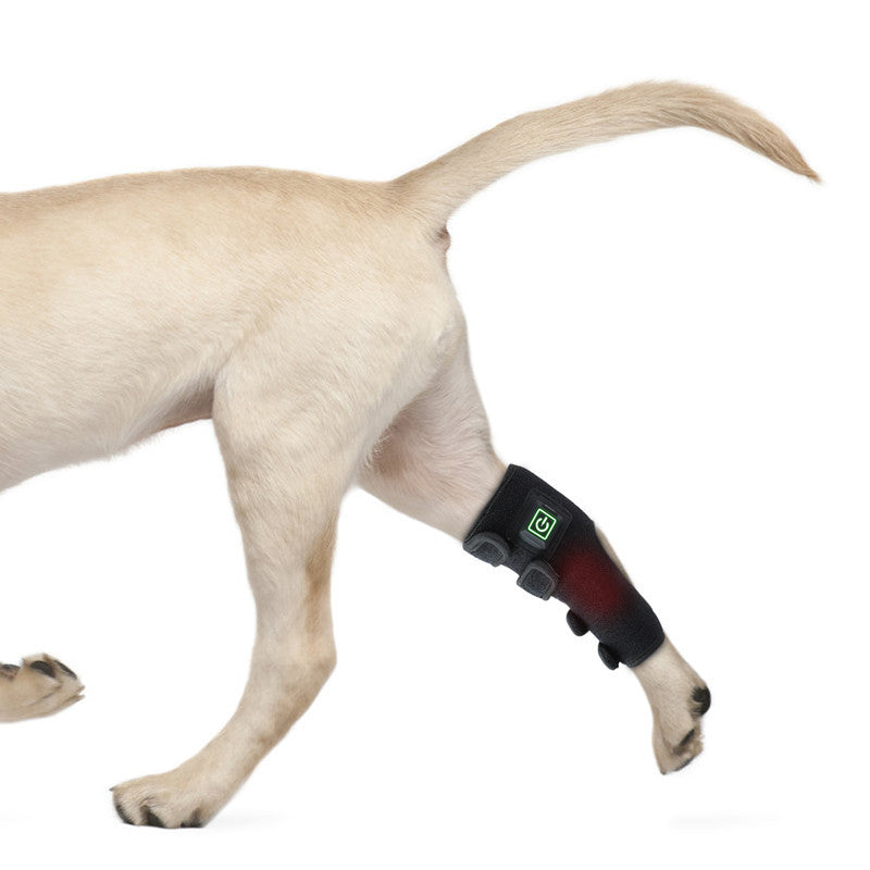Pet Physical Therapy Device For Small Animals Leg Injury Recovery Wound Healing Fracture Healing Anti Lick Portable Timer