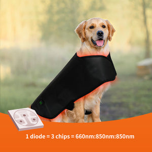 Medium Pet Red Light Infrared Therapy Device For Cat Dog Back Abdomen Injury Fracture Healing Portable Timer