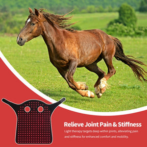 Led Red Light Infrared Therapy Horse Neck Relaxation Recovery