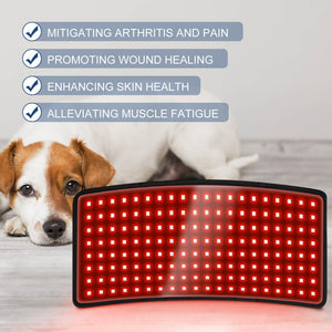 2024 New Pet Therapy Device For Cats Dogs Pigs Back Abdomen Injury Fracture Healing Muscle Relaxation Portable Timer