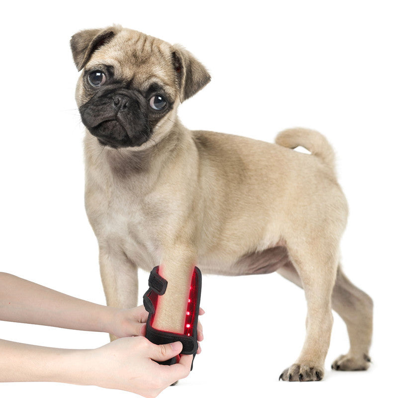 Pet Therapy Device For Injury Recovery Wound Healing Fracture Healing Portable Timer