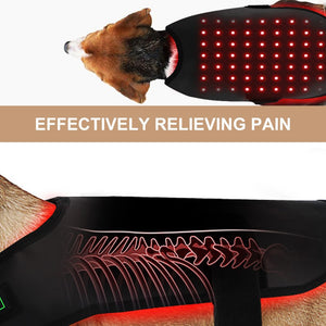 Pet Red Light Infrared Therapy Device For Cat Dog Back Abdomen Injury Recovery Bone Healing Wireless Portable Timer
