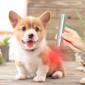 9W Led Infrared Adjustable Therapy Beauty Pen Rechargeable Portable Red Light Therapy Flashlight