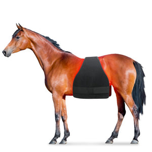Large Size High Power Portable Red Light Infrared Therapy Pad For Horse Hip Belly Leg Back Front Leg