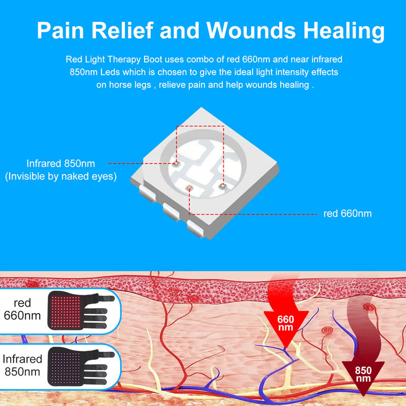 Red Light Infrared Pet Therapy Wound Recovery Portable Led Light Therapy For Horses Legs
