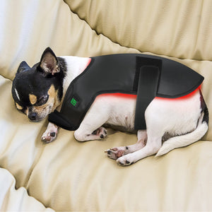 Small Pet Red Light Infrared Therapy Device For Cat Dog Back Abdomen Injury Recovery Bone Healing Anti Lick Portable Timer