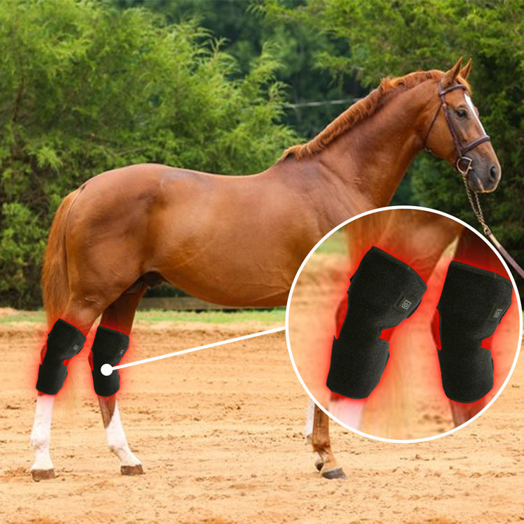 Red Light Infrared Pet Sports Injury Recovery Horse Knee Portable Phototherapy Device Kit