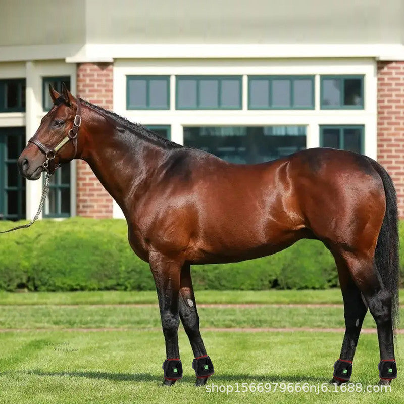 Red Light Therapy Lamp Infrared Large Pet Horse Hoof Massager Wound Healing Recovery Device