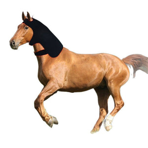 Led Red Light Infrared Therapy Horse Neck Relaxation Recovery