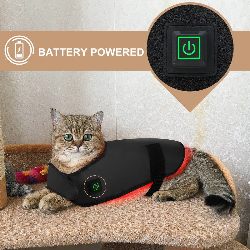 Small Pet Red Light Infrared Therapy Device For Cat Dog Back Abdomen Injury Recovery Bone Healing Anti Lick Portable Timer