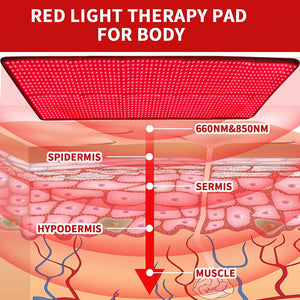 Red Light Therapy Belt Red Light Waist Belt Red Light Cushion Infrared Mattress Pad