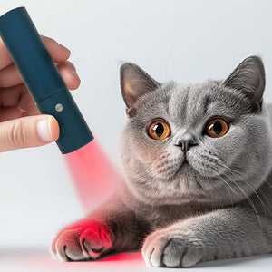 Led Red Light Infrared Therapy Device For Pet Bone Fracture Wound Healing Portable Timer 200mw Cm2