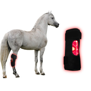 Red Light Infrared Pet Sports Injury Recovery Horse Knee Portable Phototherapy Device Kit