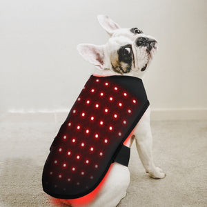 Pet Red Light Infrared Therapy Device For Cat Dog Back Abdomen Injury Recovery Bone Healing Wireless Portable Timer