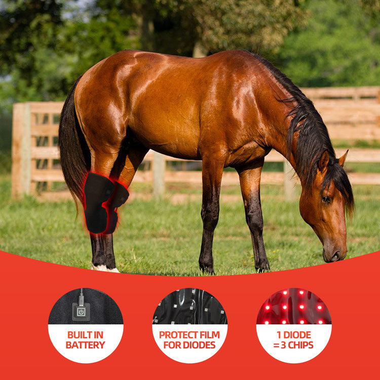 Red Light Infrared Pet Sports Injury Recovery Horse Knee Portable Phototherapy Device Kit