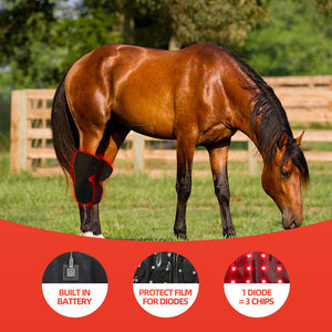 Red Light Infrared Pet Sports Injury Recovery Horse Knee Portable Phototherapy Device Kit