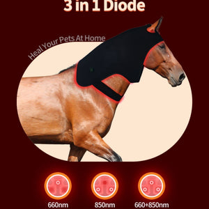 Led Red Light Infrared Therapy Horse Neck Relaxation Recovery
