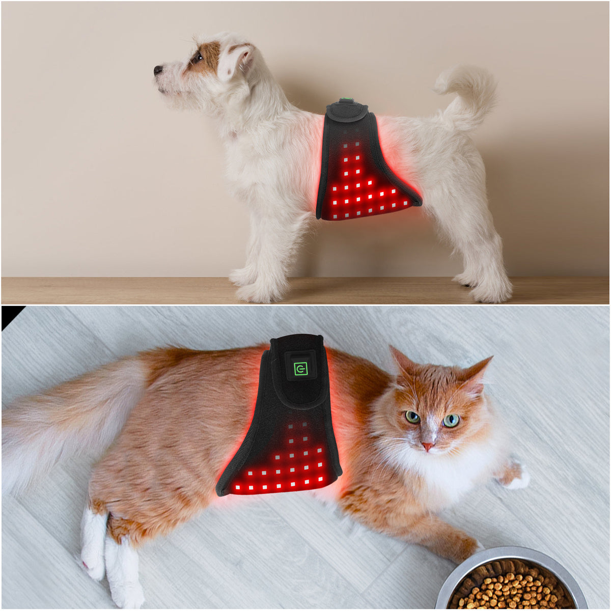 Portable Pet Therapy Device For Cat Dog Abdomen Hip Back Leg Wound Healing Bone Fracture Recovery Automatic Timer