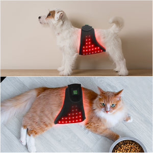 Portable Pet Therapy Device Timer Recovery Small Animal Abdomen Buttocks Back Leg Burns Scalds Bites
