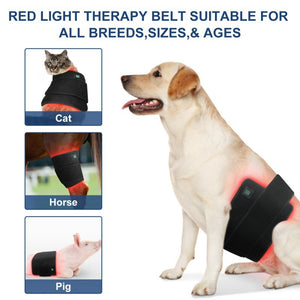 2024 New Pet Therapy Device For Cats Dogs Pigs Back Abdomen Injury Fracture Healing Muscle Relaxation Portable Timer