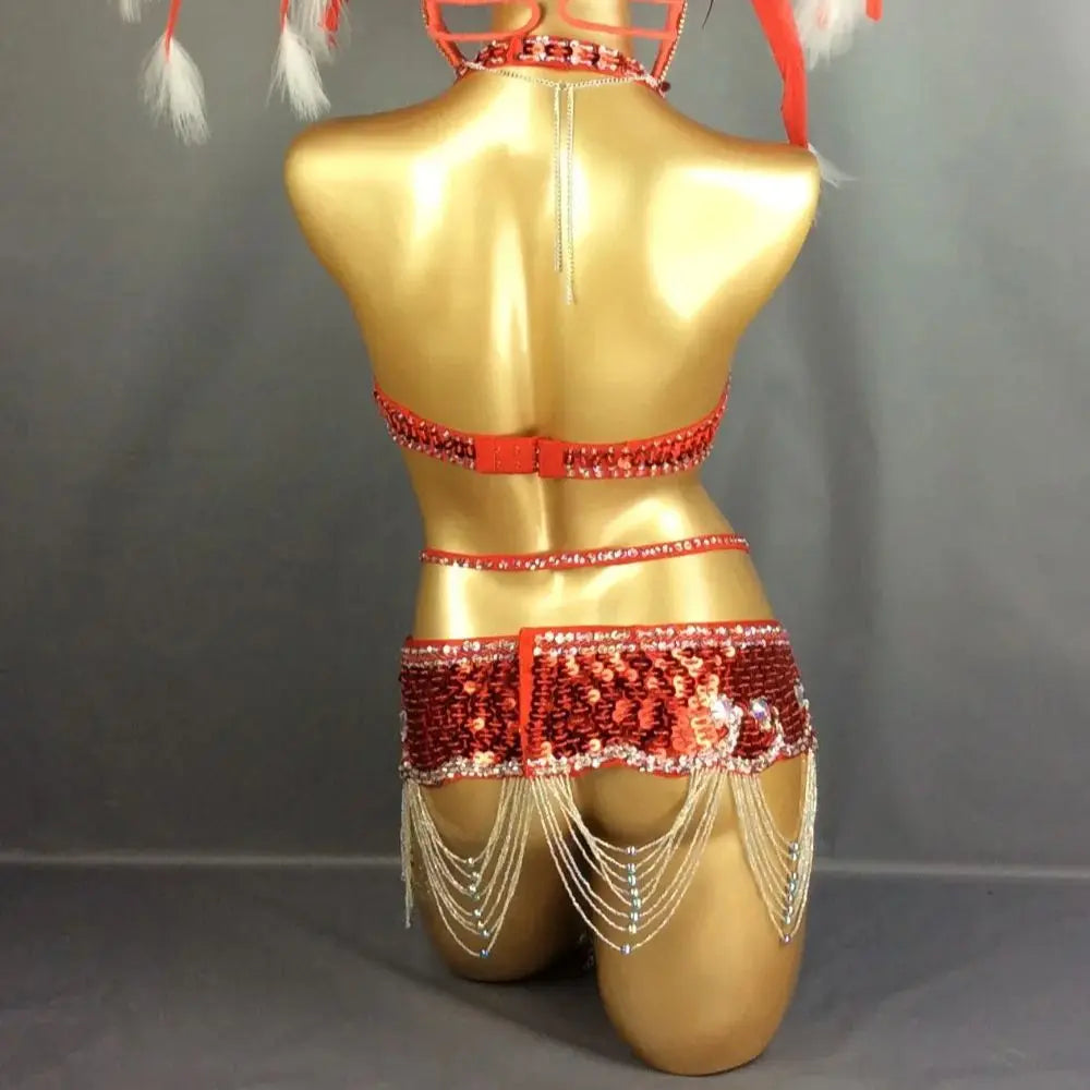 Carnival Samba Dance Costume, Women's Red & White Feathered Sequin Rhinestone Bra & Skirt Set, Latin Belly Dance