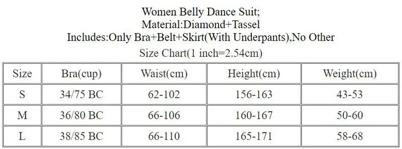 Women's Adult Belly Dance Costume Set With Tassel Bra, Rhinestone Belt And Skirt For Performance