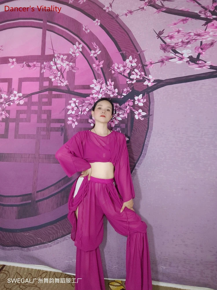 Women's Belly Dance Training Outfit With Long-Sleeve Top And Chiffon Lantern Pants