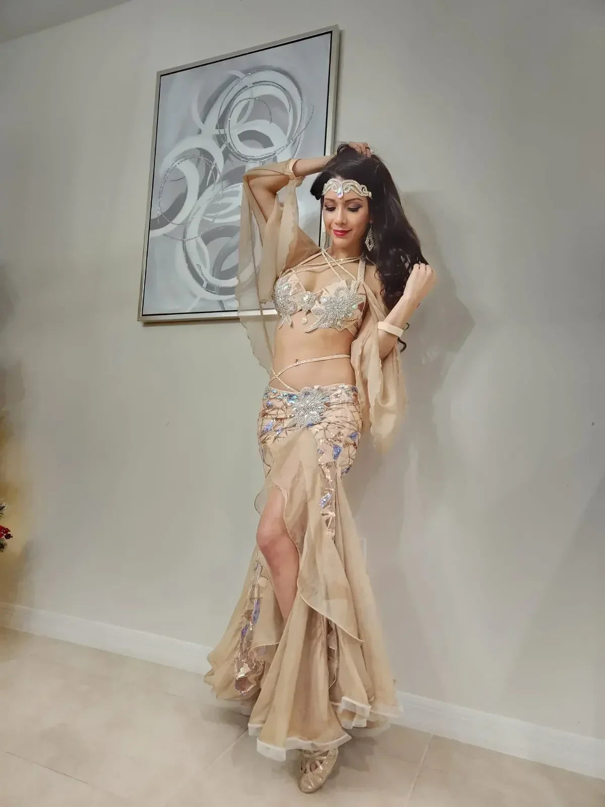 Belly Dance Costume Women's Silver Sequin Halter Top Chiffon Sleeve Slit Skirt Set, Adult