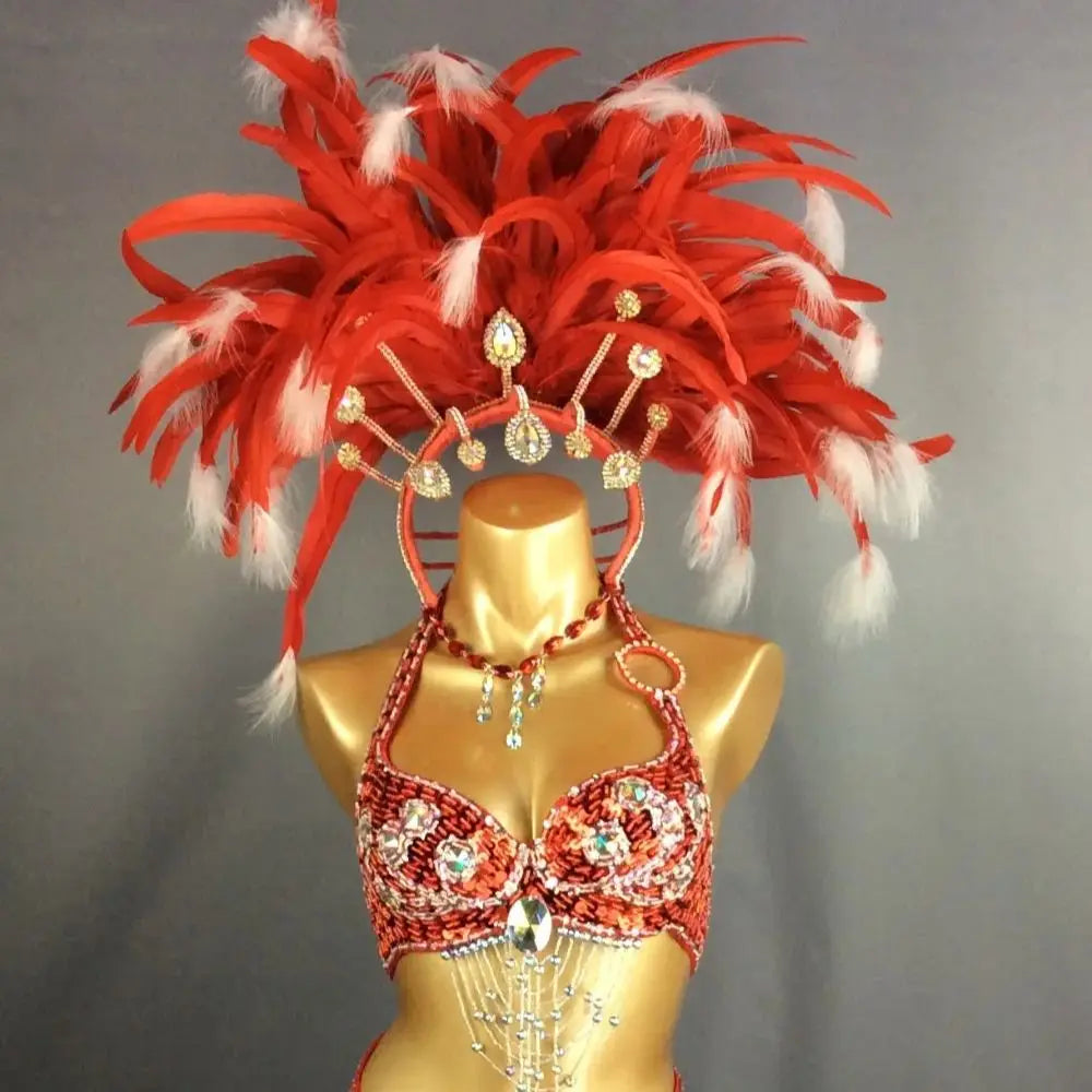 Carnival Samba Dance Costume, Women's Red & White Feathered Sequin Rhinestone Bra & Skirt Set, Latin Belly Dance