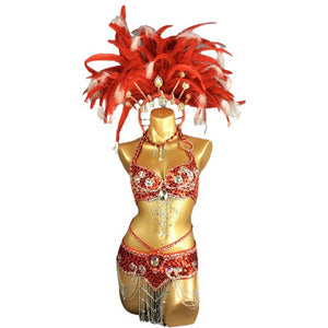 Carnival Samba Dance Costume, Women's Red & White Feathered Sequin Rhinestone Bra & Skirt Set, Latin Belly Dance