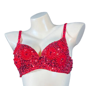 Sequin Beaded Dance Bra Top, Women's, Pink, Blue, Purple, Black, Embellished, Belly Dance
