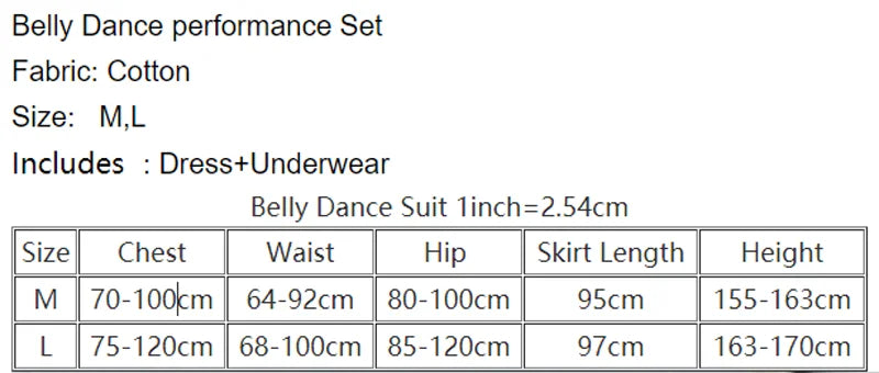 Women's Belly Dance Training Outfit With Long-Sleeve Top And Chiffon Lantern Pants