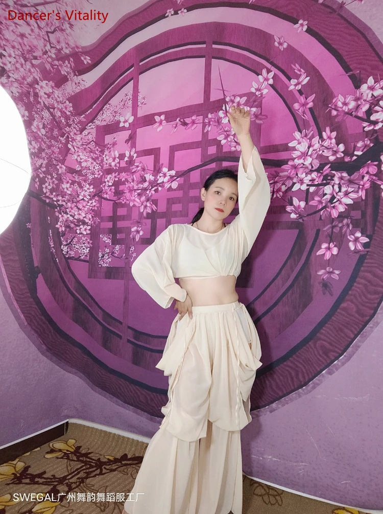 Women's Belly Dance Training Outfit With Long-Sleeve Top And Chiffon Lantern Pants